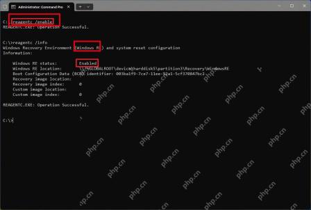 执行 reagentc /enable 后显示启用成功。