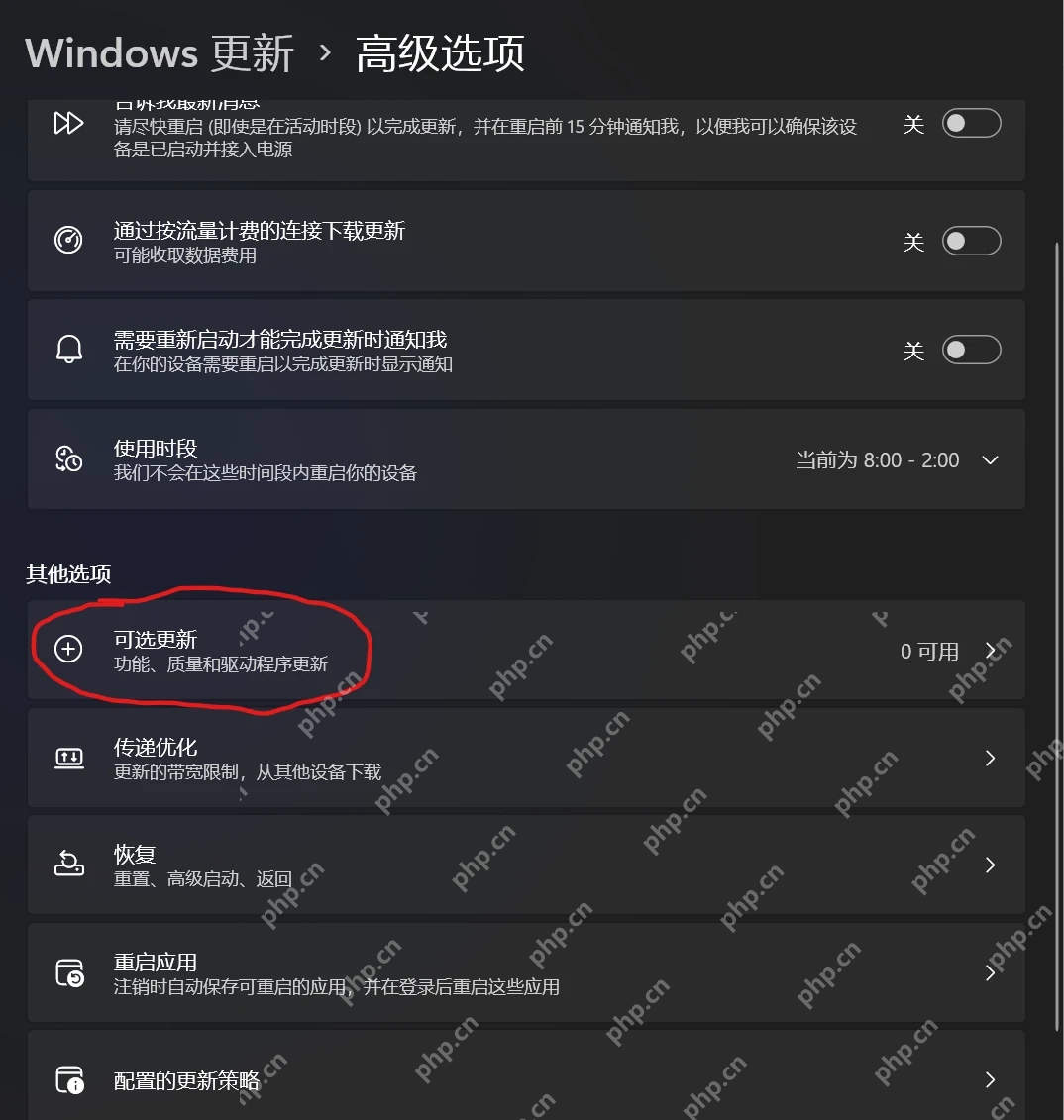 Win11 Windows 更新高级选项中的可选更新入口