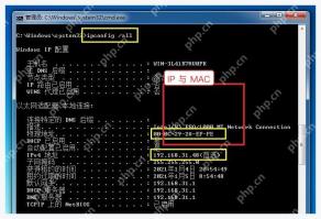 ToDesk Windows 远程开机排查中确认目标电脑 IP 和 MAC 信息