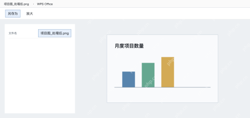 模拟 WPS图片另存处理后的项目图，背景标识已移除