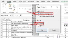 Excel Copy Picture 对话框中选择屏幕显示效果和图片格式