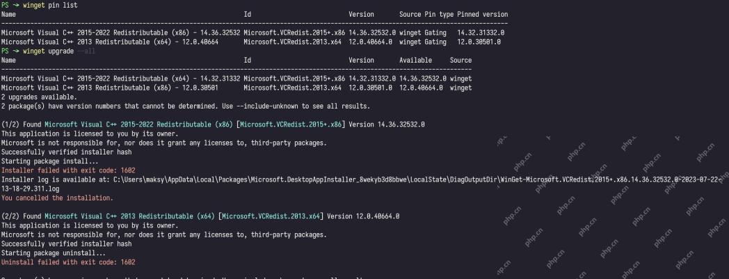 Win11 终端运行 winget pin list 后显示 Visual C++ 包固定记录