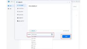 PDF转Word本地批量工具选择Word格式并转换真实操作图