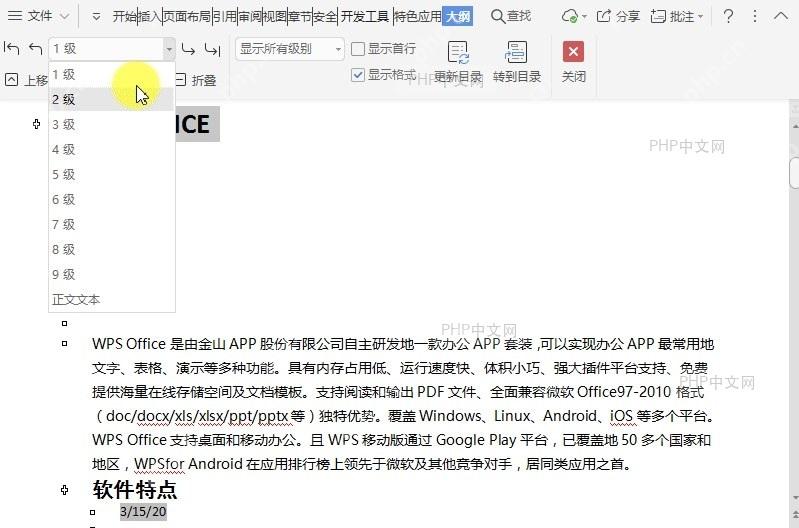 在文档大纲视图中如何直接调整项目级别?设置效果