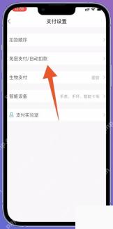 抖音支付设置页面中的小额免密支付入口