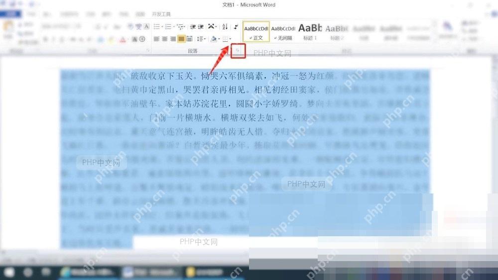 Word分散对齐后检查文档显示