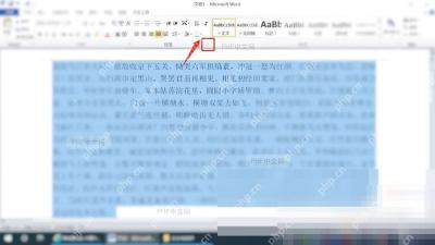 Word分散对齐后检查文档显示