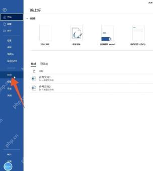 Word 文件菜单中进入打印功能