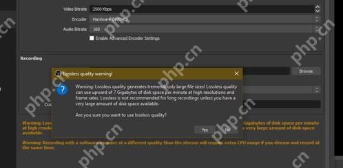 OBS Studio 弹出 Lossless quality warning 无损录制文件体积警告