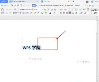 WPS文本轮廓设置完成后的文字显示效果