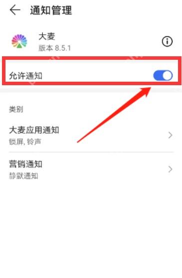 手机系统通知管理中大麦允许通知开关