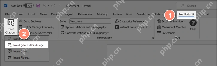 Word Windows 中 EndNote 21 选项卡可展开 Insert Citation 菜单