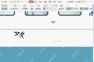 如何将签名应用到PDF文档的自定义页面?结果检查