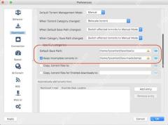 qBittorrent Downloads 设置页显示默认保存路径和分类保存路径选项