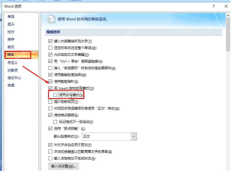 中文版 Word 选项高级页面中使用改写模式的位置
