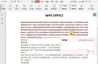 如何设置PDF文档中替换符的颜色？结果检查
