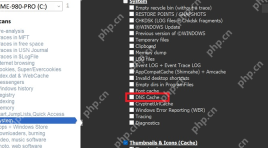 PrivaZer System 下的 Cache DNS 选项