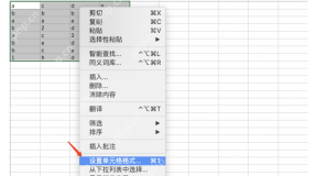Excel 设置单元格格式窗口,用来处理 COUNT 为 0 的文本数字