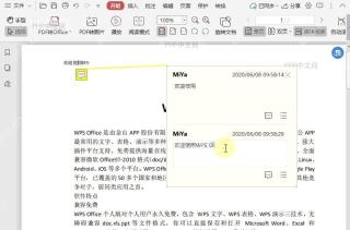 PDF如何文档中回复注解?结果检查