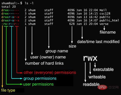 Linux d とはどういう意味ですか?