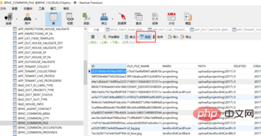 So filtern und fragen Sie ein bestimmtes Feld in der Navicat-Datenbank ab