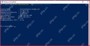 Windows 11 用详细输出核对解析与出口的真实界面截图