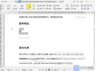 Word如何给文档中的窗体域添加底纹？入口位置