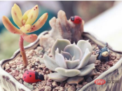 1616394840605816.png How to add background image in css