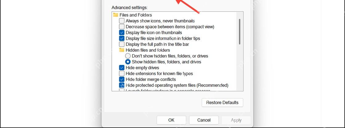 Win11 文件夹选项底部 Restore Defaults 恢复默认设置