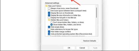 Win11 文件夹选项底部 Restore Defaults 恢复默认设置