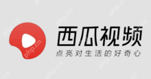 在线观看国产大片网站盘点 免费在线观看国产大片网站推荐 - php中文网