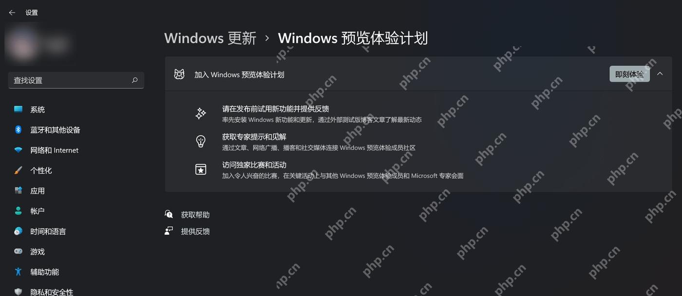 Win11 Windows 更新中打开 Windows 预览体验计划入口
