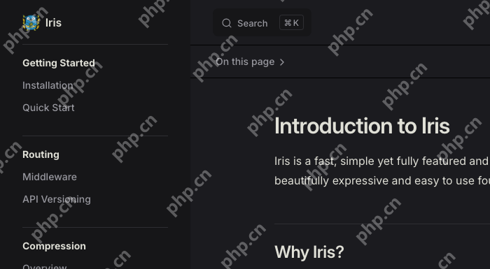 Iris 官方文档 Introduction 页面展示 Why Iris 和 Key Features 区域