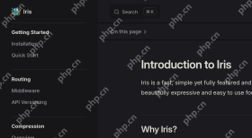 Iris 官方文档 Introduction 页面展示 Why Iris 和 Key Features 区域
