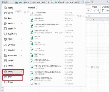 WPS表格文件菜单底部的选项入口