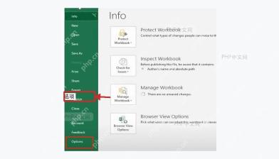 Excel文件后台页面左侧选项入口用于打开Excel选项窗口