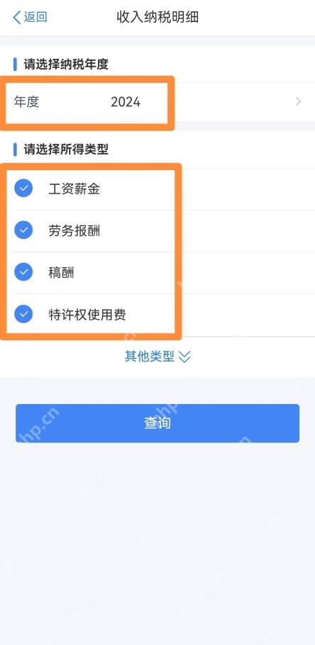 个人所得税App收入纳税明细年度和工资薪金类型筛选