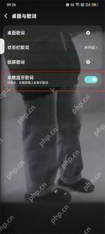 桌面与歌词页中的车载蓝牙歌词开关被红框标出