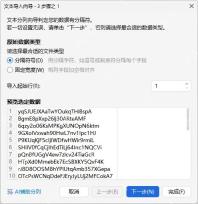 WPS表格文本导入向导中选择分隔符并查看预览数据
