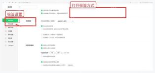 360安全浏览器选项页中的标签设置入口