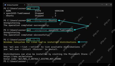 PowerShell 中注销 WSL 发行版后重新查看空列表