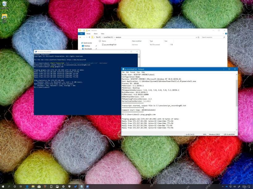 Windows 11 记事本打开 PowerShell Transcript 日志并显示会话信息