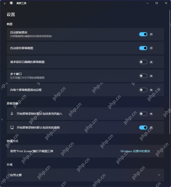 Win11 截图工具设置页里的使用 Print Screen 键打开屏幕截图选项