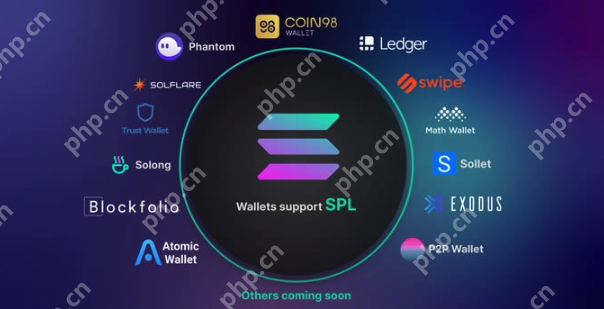 什么是solana币 solana币如何得到或购买 - php汉文网