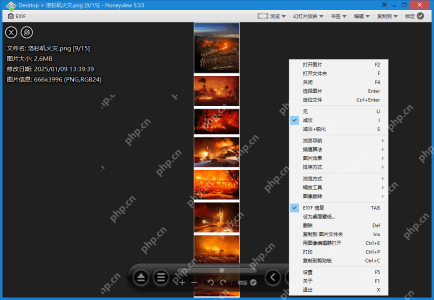 Windows 中 Honeyview 5.53 的 PNG 图片文件信息层显示图片信息 666×3996，右键菜单勾选 EXIF 信息与 TAB 快捷键