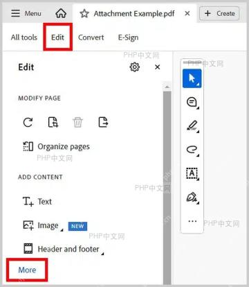 Adobe Acrobat 编辑面板中标出 Edit 和 More 入口