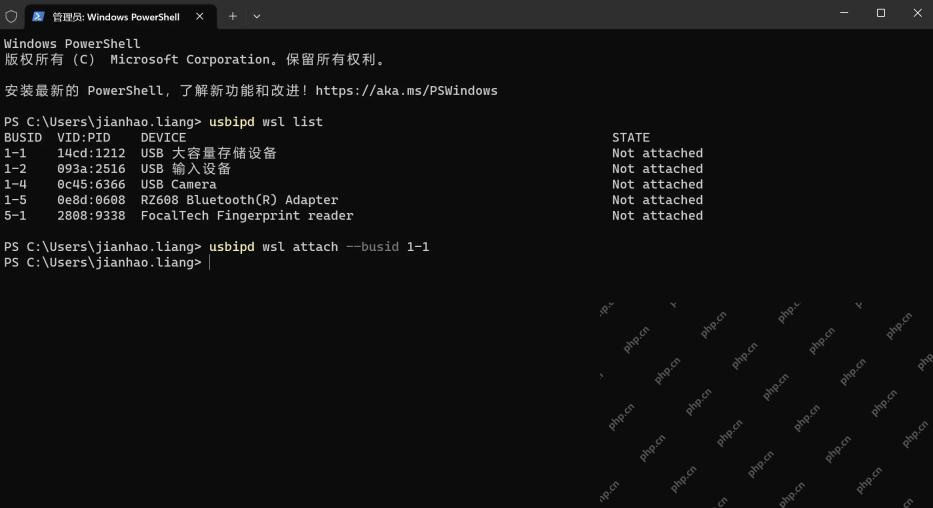 PowerShell 使用 usbipd 列出可附加到 WSL 的 USB 设备
