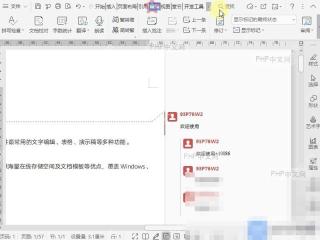 Word如何设置显示标记的状态?入口位置