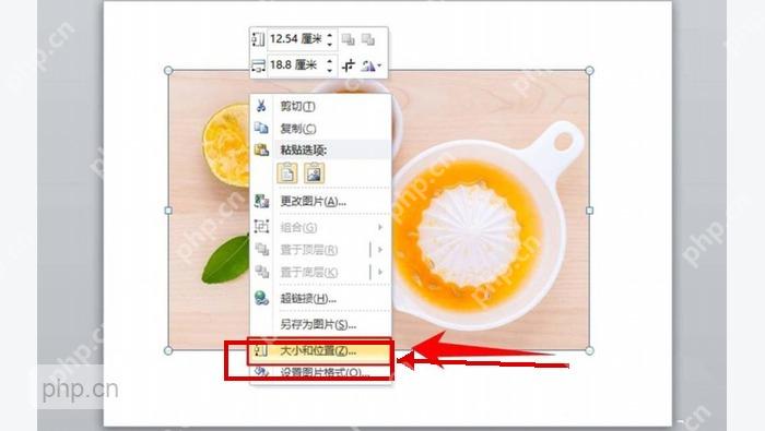 PowerPoint 图片右键菜单里的大小和位置入口,用于进入精确尺寸设置