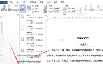 Word 自定义文档纸张大小:进入其他页面大小